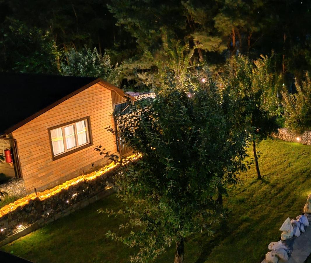 Воллен Zhvanets Exterior foto