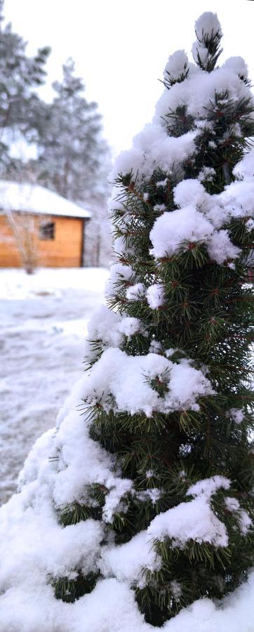 Воллен Zhvanets Exterior foto