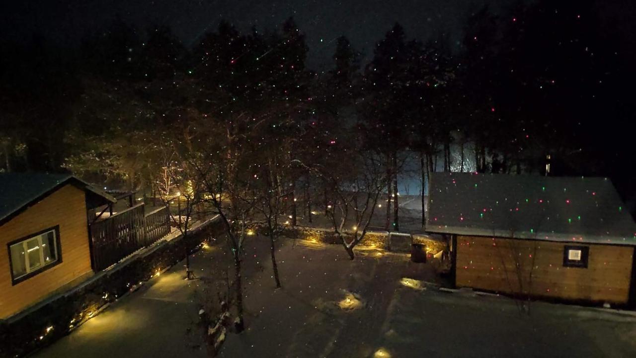 Воллен Zhvanets Exterior foto