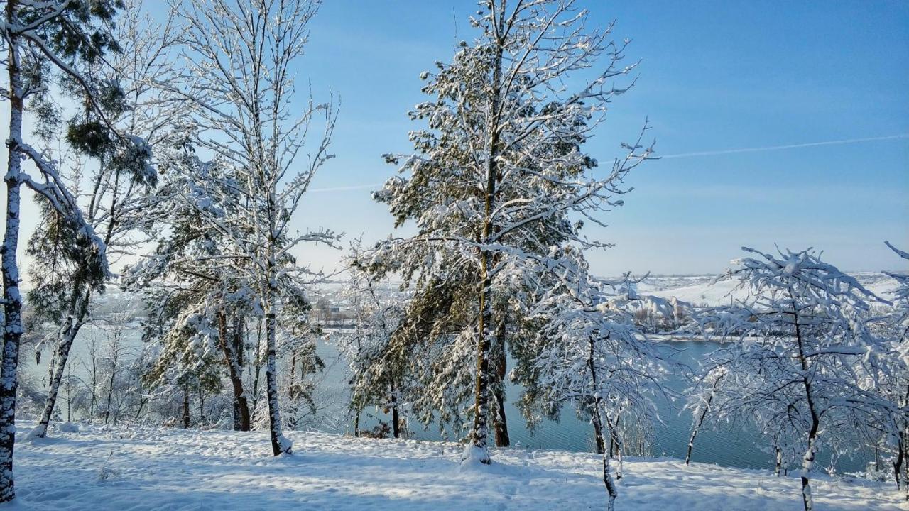 Воллен Zhvanets Exterior foto